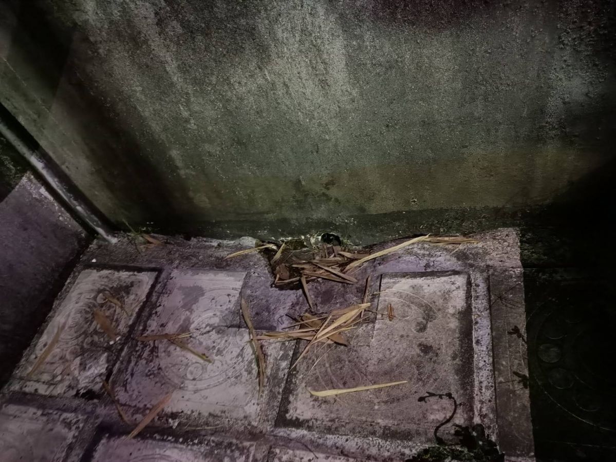 【高雄防水工程】地板防水工程