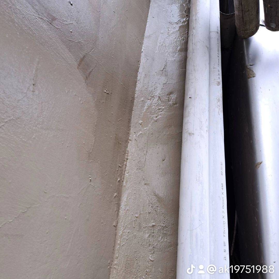 【高雄外牆防水】仁武區外牆防水並去除樹根增加建築壽命~